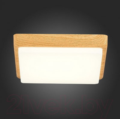 Изображение товара Потолочный светильник Evoluce Festa SLE201252-01