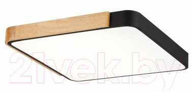 Изображение товара Потолочный светильник Evoluce Festa SLE201272-01