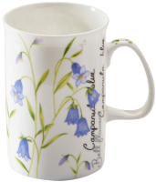 

Кружка Price & Kensington, Botanic / P-0043.007bu