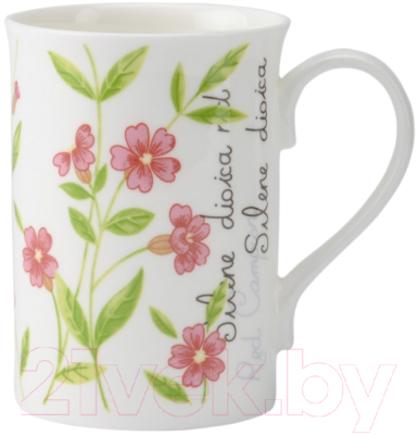

Кружка Price & Kensington, Botanic / P-0043.007pk