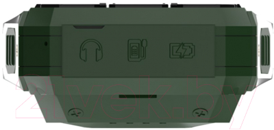 Мобильный телефон Maxvi P100 (зеленый)