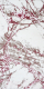 Коврик Витебские ковры Брио прямоугольник e3850a3 (0.8x1.5) - 