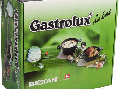 Кастрюля Gastrolux A17-250