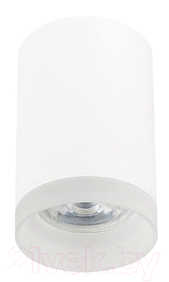 Потолочный светильник ST Luce ST100.502.01