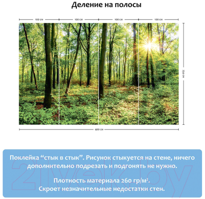 Фотообои листовые Citydecor Солнечный лес (400x254)