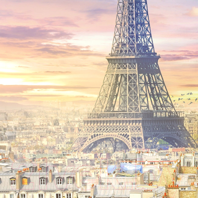 Фотообои листовые Citydecor Вид на Париж (300x254)
