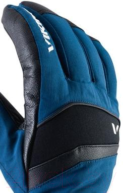 Перчатки лыжные VikinG Piemont / 110/21/4228-19 (р.7, синий)