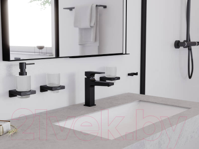 Стакан для зубной щетки и пасты Hansgrohe AddStoris 41749670