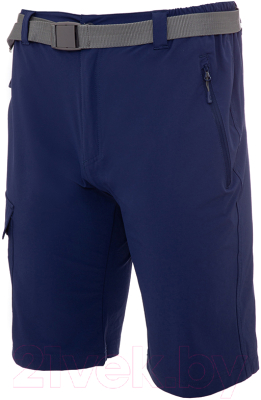 Изображение товара Шорты спортивные FHM Airy / 603 (4XL, синий)