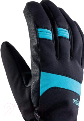 Перчатки лыжные VikinG Paganella GTX Ski Grass / 150/22/1441-70 (р.5, черный/синий)