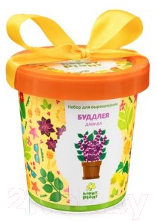 

Набор для выращивания растений Happy Plant, Буддлея Давида / hpn-13