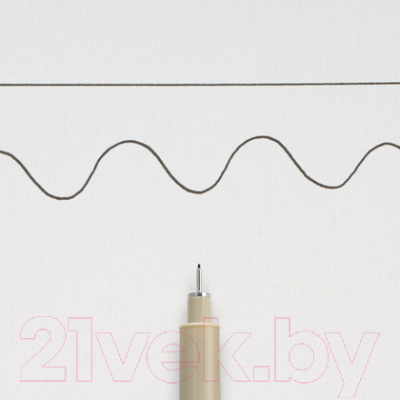 Изображение товара Ручка капиллярная Sakura Pen Pigma Micron / XSDK0249 (черный)