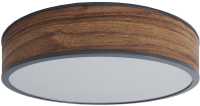 

Люстра Woodled, Galactic Jupiter Chandelier L / U-02-02-L