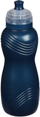 Бутылка для воды Sistema Renew 58600 (600мл, синий)