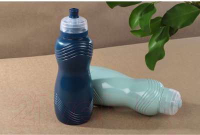 Бутылка для воды Sistema Renew 58600 (600мл, синий)