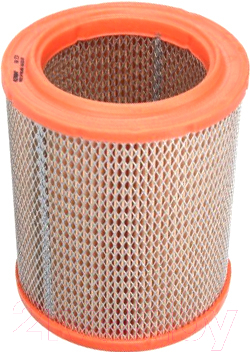 

Воздушный фильтр Filtron, AR231