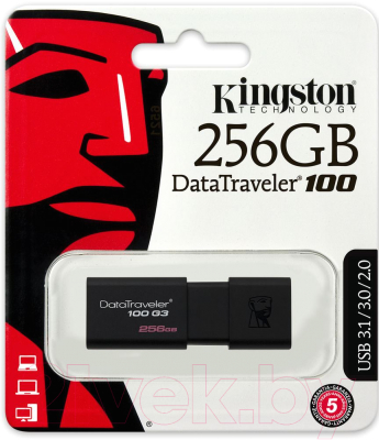 Usb flash накопитель Kingston DataTraveler 100 G3 256GB (DT100G3/256GB)