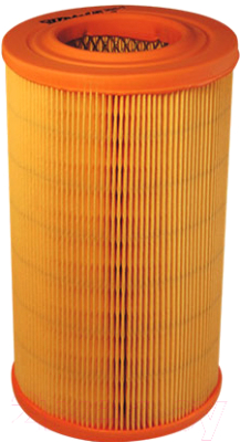 

Воздушный фильтр Filtron, AR304/1