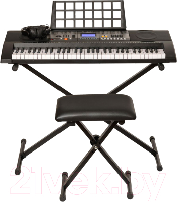 Синтезатор Rockdale RKK-61 (наушники, банкетка и стойка)
