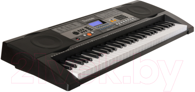 Синтезатор Rockdale RKK-61 (наушники, банкетка и стойка)