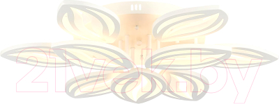 

Потолочный светильник Evoled, Seteko SLE501352-09