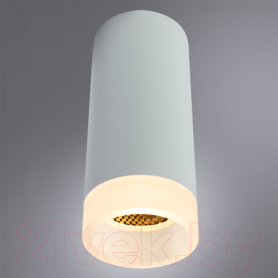 Точечный светильник Arte Lamp Ogma A5556PL-1WH