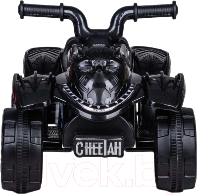 Детский квадроцикл Farfello SR607 (черный)