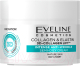 Крем для лица Eveline Cosmetics Коллаген и эластин активное омоложение для зрелой кожи (50мл) - 