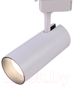 Трековый светильник ЭРА TR5-30 COB WH / Б0049054 (белый)