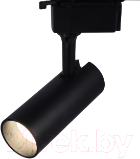 Трековый светильник ЭРА TR5-10 COB BK / Б0049051 (черный)