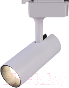 Трековый светильник ЭРА TR5-10 COB BK / Б0049050 (белый)