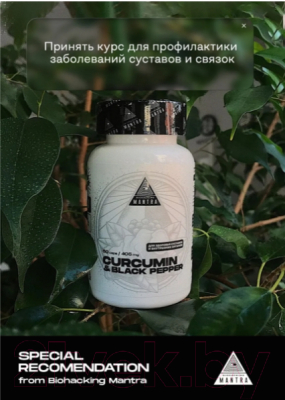 Пищевая добавка Biohacking Mantra Curcumin Plus / CAPS004 (60 капсул)