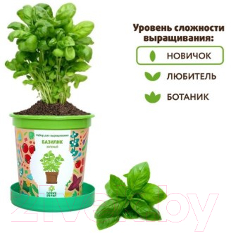 Набор для выращивания растений Happy Plant Базилик зеленый / hpn-14