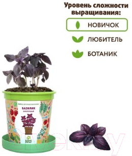 Набор для выращивания растений Happy Plant Базилик фиолетовый / hpn-5