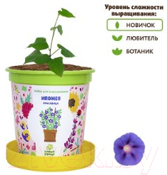Набор для выращивания растений Happy Plant Ипомея красавица / hpn-20
