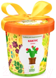 

Набор для выращивания растений Happy Plant, Кактус Егоза / hpn-2