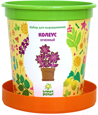 Набор для выращивания растений Happy Plant Колеус огненный / hpn-1