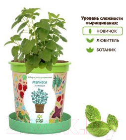 Набор для выращивания растений Happy Plant Мелисса лимонная / hpn-4