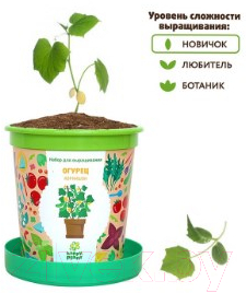 Набор для выращивания растений Happy Plant Огурец корнишон / hpn-19