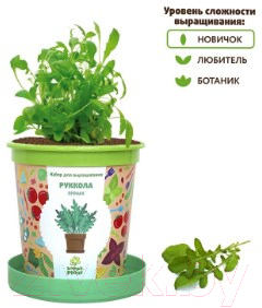 Набор для выращивания растений Happy Plant Руккола пряная / hpn-16