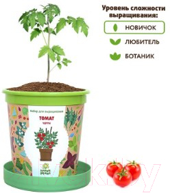 Набор для выращивания растений Happy Plant Томат черри / hpn-7