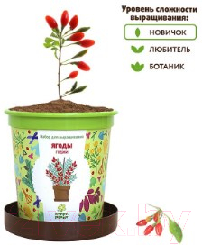 Набор для выращивания растений Happy Plant Ягоды Годжи / hpn-18