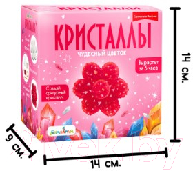 Набор для выращивания кристаллов Bumbaram Фигурный кристалл. Цветок / A127 (красный)
