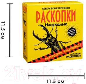 Набор для опытов Bumbaram Набор для проведения раскопок. Насекомые / dig-30 — фото 7