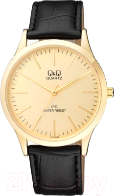 Часы наручные мужские Q&Q C212J100Y