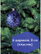 Миниатюра изображения товара Набор шаров новогодних Золотая сказка 590892 (6шт, синий)