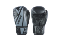 Боксерские перчатки Insane Ares / IN22-BG300 (10oz, черный) - 