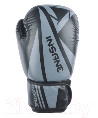 Боксерские перчатки Insane Ares / IN22-BG300 (10oz, черный)