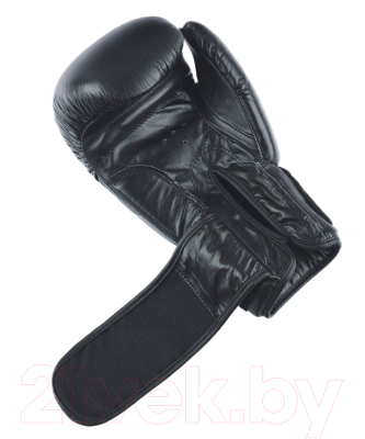 Боксерские перчатки Insane Ares / IN22-BG300 (12oz, черный)