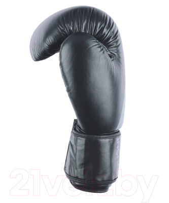 Боксерские перчатки Insane Ares / IN22-BG300 (8oz, черный)